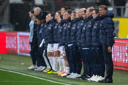 Head coach Hervé Renard of France