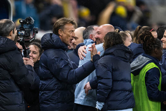 Head coach Hervé Renard of France celebrates