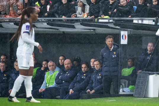 Head coach Hervé Renard of France