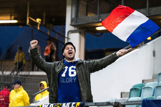 A supporter of France