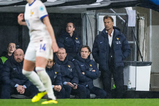 Head coach Hervé Renard of France