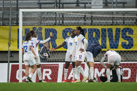Players of France celebrate