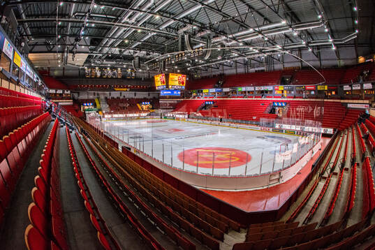 Monitor ERP Arena