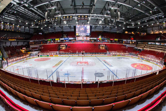 Monitor ERP Arena