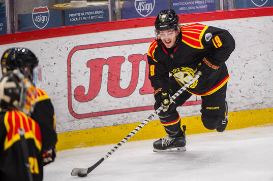 Brynäs Tyler Kelleher