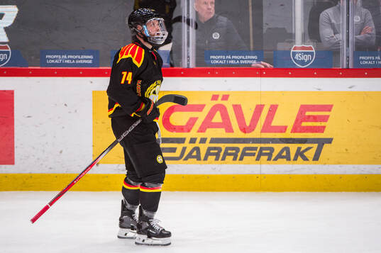 Brynäs Chad Billins deppar