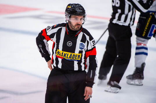 Domare Mattias Enroth