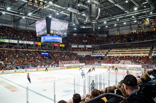 Monitor ERP Arena