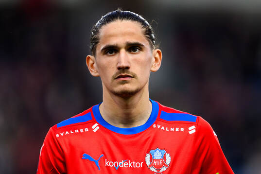 Helsingborgs Ervin Gigovic