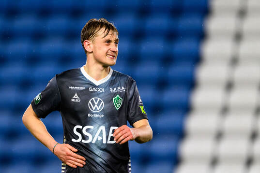 Brages Henry Sletsjøe