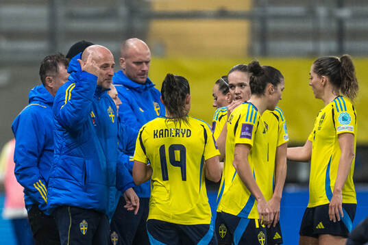 Assistant coach Magnus Wikman of Sweden