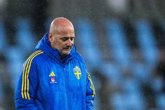 Assistant coach Magnus Wikman of Sweden