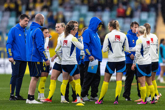 Players of Sweden