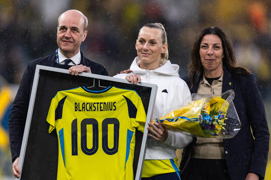 Fredrik Reinfeldt, president of the Swedish Football