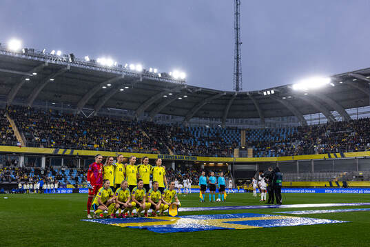 The players of Sweden
