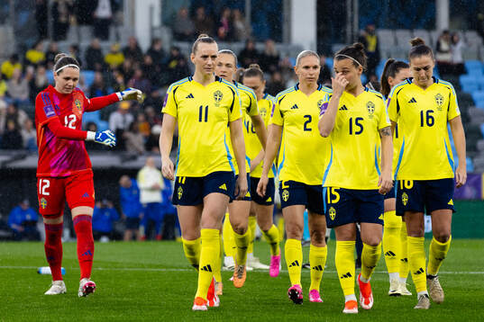 Players of Sweden