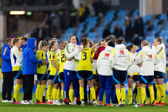 Players and staff of Sweden