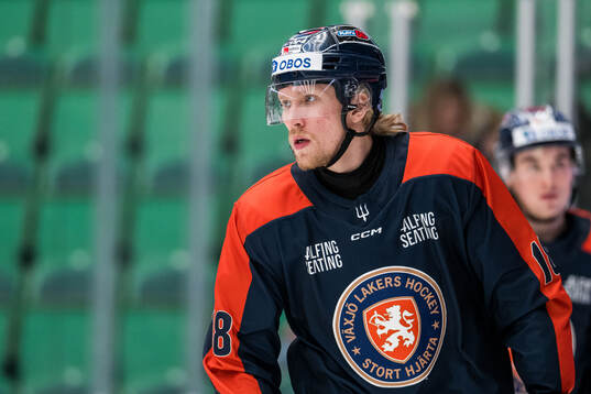 Växjös Marcus Sylvegård