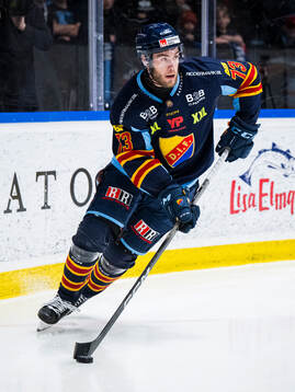 Djurgårdens Anton Gradin