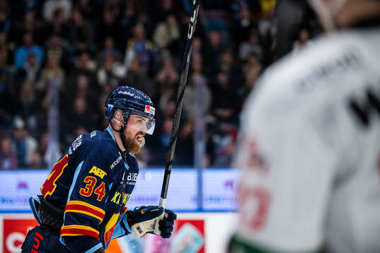 Djurgårdens Daniel Brodin