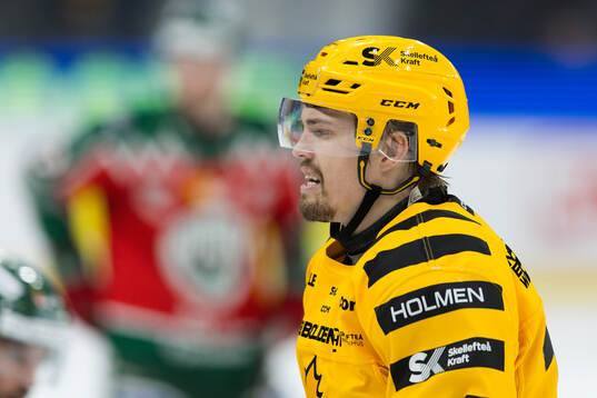 Skellefteås Andreas Johnson