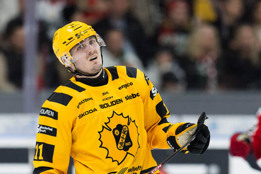 Skellefteås Max Lindholm