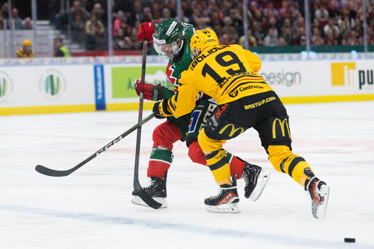 Frölundas Erik Thorell och Skellefteås Martins Dzierkals