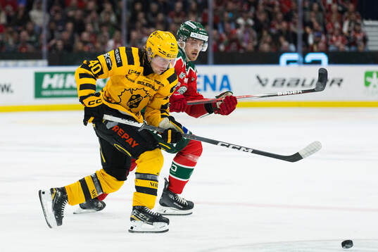 Skellefteås Andreas Johnson och Frölundas Linus Högberg