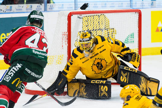 Skellefteås målvakt Gustaf Lindvall