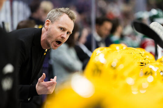 Skellefteås tränare Robert Ohlsson