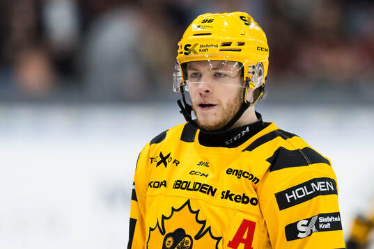 Skellefteås Rickard Hugg