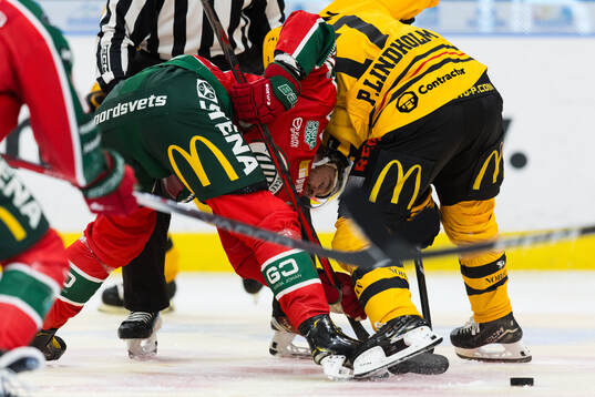 Frölundas Mikael Ruohomaa och Skellefteås Pär Lindholm