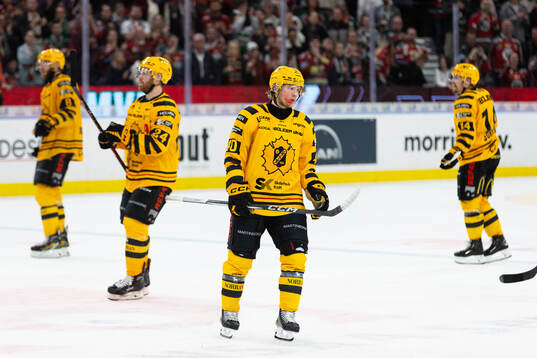 Skellefteås Anton Heikkinen deppar