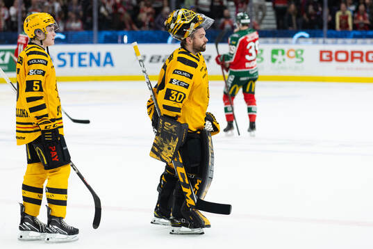 Skellefteås Axel Sandin Pellikka och målvakt Gustaf