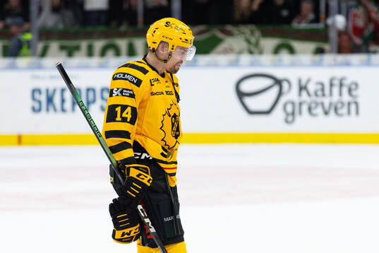 Skellefteås Andreas Johnson deppar