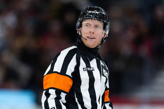 Domare Mikael Holm