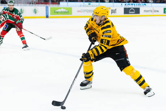 Skellefteås Max Lindholm