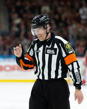 Domare Tobias Björk