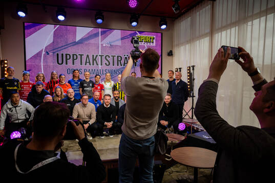 Ledare och spelare
