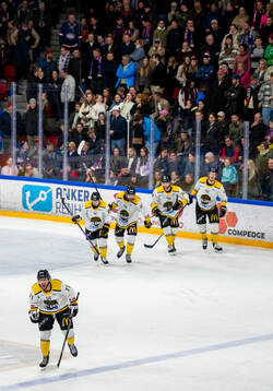 Anthony Salinitri of Stavanger Oilers celebrates
