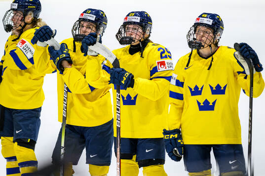 Wilma Sundin, Felizia Wikner-Zienkiewicz and Paula