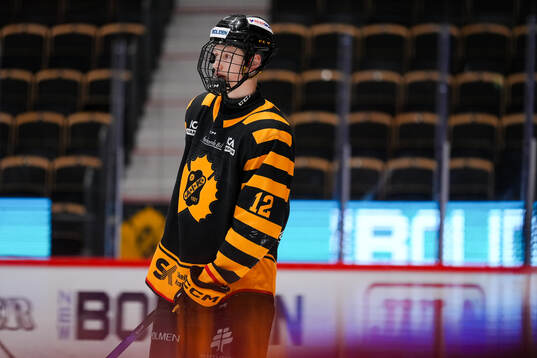 Skellefteås Alfons Ekblad