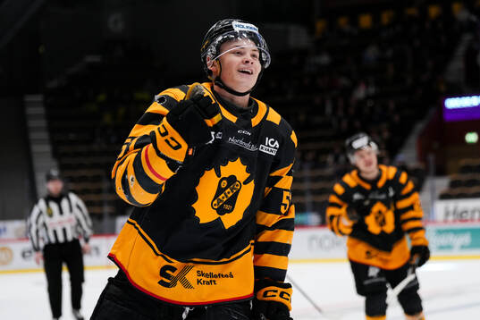 Skellefteås Leo Bergström