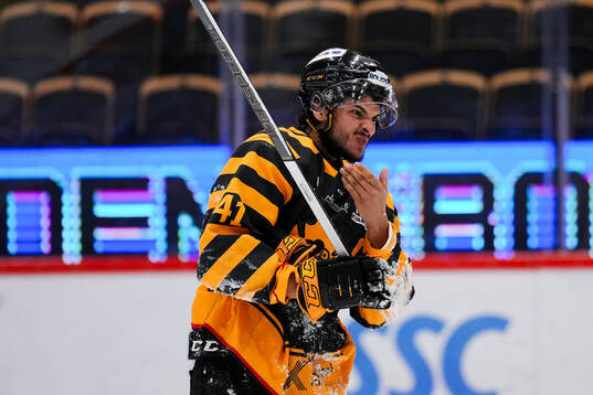 Skellefteås Amill Andersson