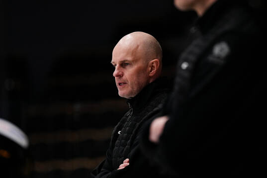 Skellefteås assisterande tränare Fredrik Kariander