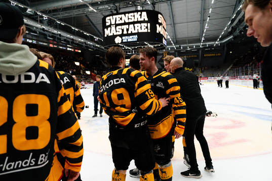 Skellefteå jublar
