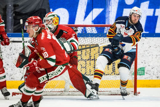 Djurgårdens Anton Gradin