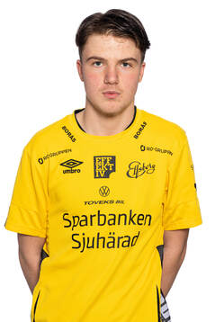 Leo Seitiz