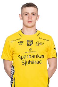 Niklas Wernstedt