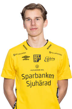 Folke von Schelin